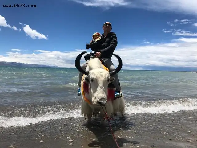 开轿车可以去青海，西藏自驾游吗。还是必须要越野车？