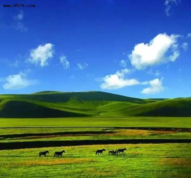 如果塔克拉玛干沙漠全部变成良田，新疆会怎么样？