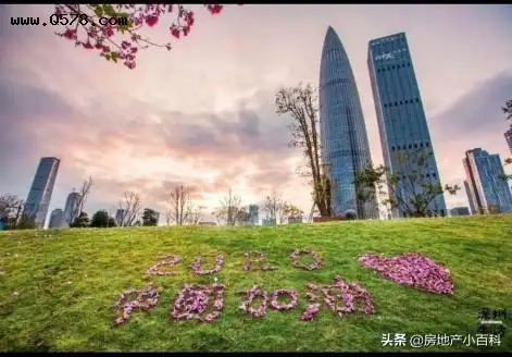 在深圳拥有一套房子，对你意味着什么？