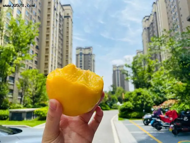 外地人在南京生活是怎样的体验？