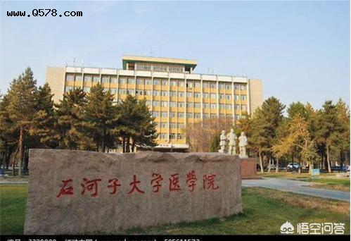 新疆石河子大学和湖南南华大学哪个好？