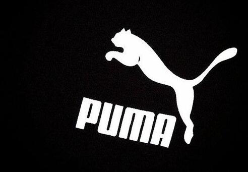 puma是什么意思（ puma彪马品牌详解）