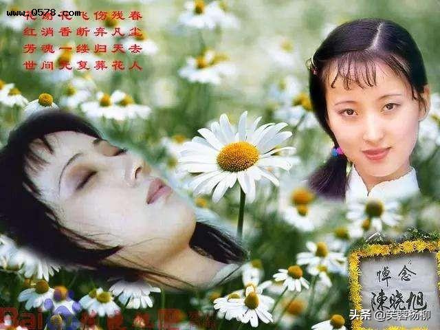 陈晓旭的“林黛玉”绝版照片，仅此一张，87《红楼梦》中从未出现