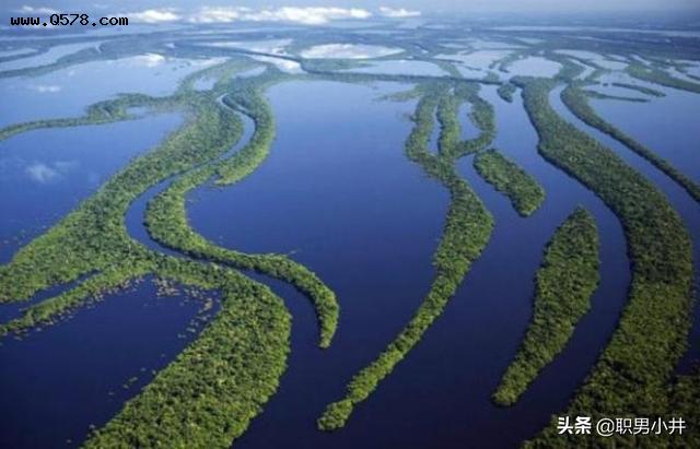 为什么有人说亚马逊雨林是人类禁区？到底有多恐怖？