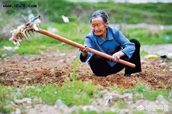 在没有执行农民缴养老保险金之前，已经老去的农村老人该怎么养老？