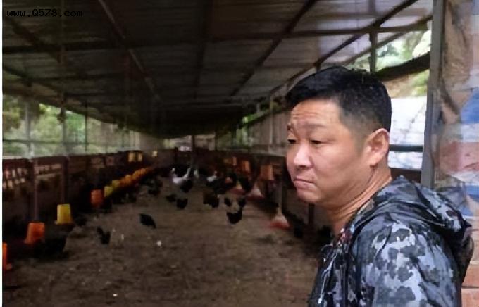 低调养鸡14年，带领288户农民脱贫，“三德子”赵亮才是真明星