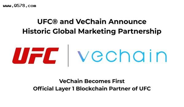 综合格斗组织UFC和唯链建立长期合作伙伴关系