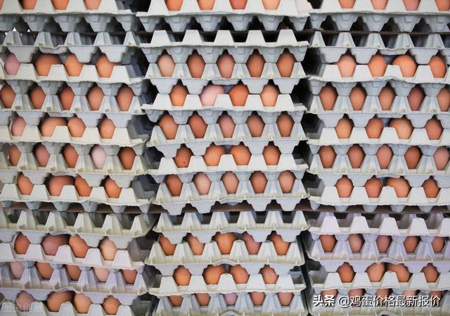 2020年5月4日鸡蛋价格 明天鸡蛋价格早知道，2022年5月6日鸡蛋价格行情参考