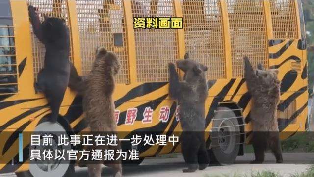 游客拍下上海野生动物园现场 视频曝光让人大跌眼镜