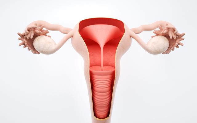 进入女性体内后，没成功“受精”的精子都去了哪里？既好笑又心疼
