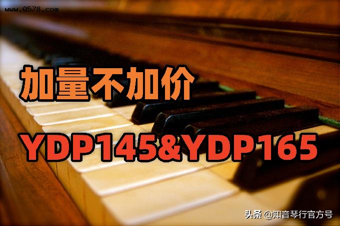 加量不加价！新款雅马哈YDP系列电钢琴值得购买吗？