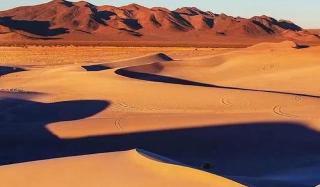 世界上面积最大的沙漠是撒哈拉沙漠吗 世界面积最大的撒哈拉沙漠有多深？如果挖光沙子，底下会是什么？