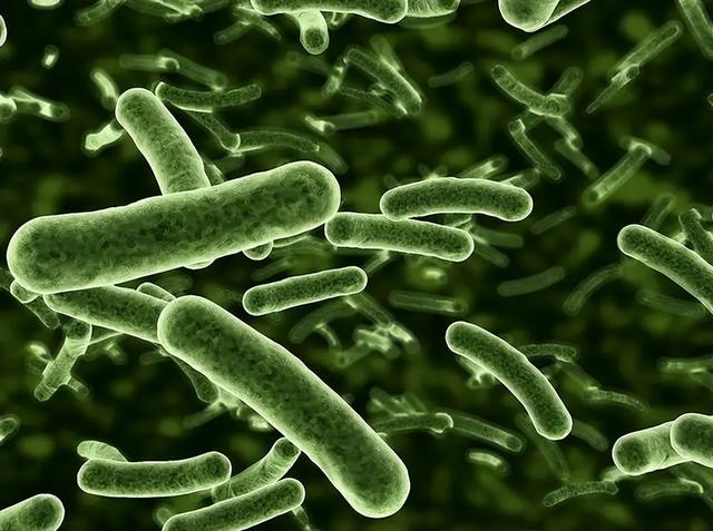 科学家给自己注射350万年前的细菌 疯狂科学家为了永生，注射350万年前的细菌，最终结局如何？