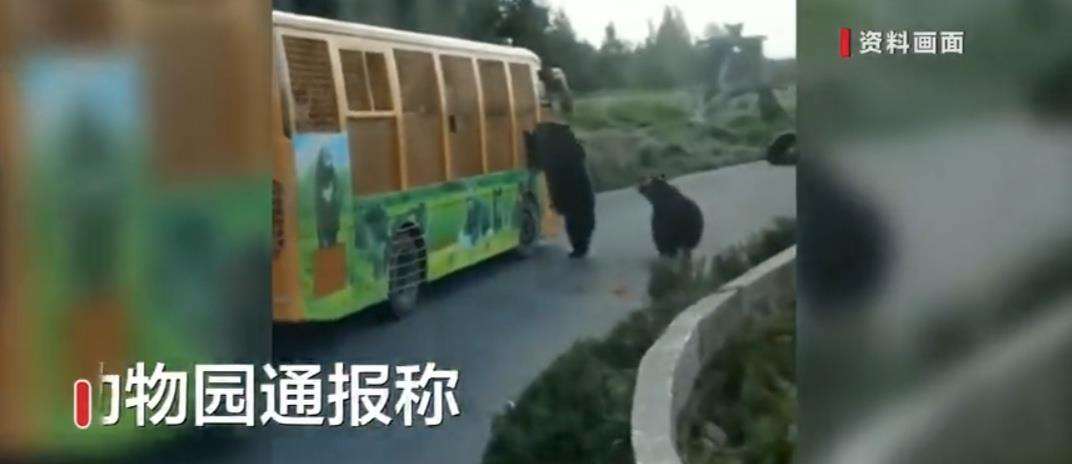 游客拍下上海野生动物园现场 究竟是什么情况？