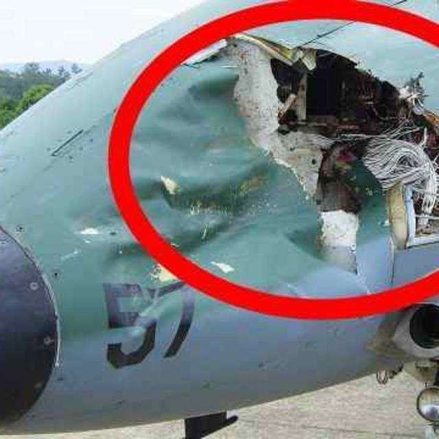 战机撞鸟后飞行员跳伞逃生 到底是什么意思？
