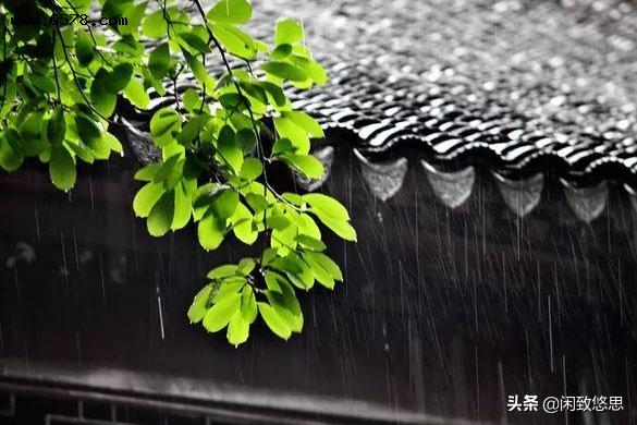 散文：仲夏，在梅雨的熏染下，变得更为柔情，更为成熟