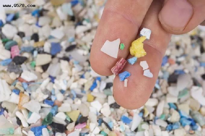 南极洲降雪中首次发现“微塑料”！它们从何而来，要到哪里去？