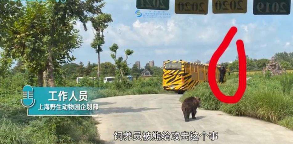 上海动物伤人事件致一人死亡 原因曝光令人直呼神奇
