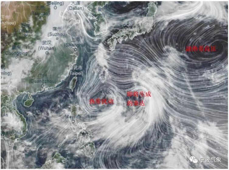 台风桑达最新消息：2022年5号台风路径实时发布系统