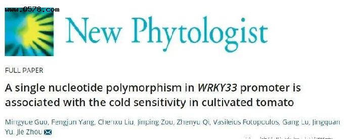 浙江大学周杰课题组揭示转录因子WRKY33调控番茄耐冷性的机制