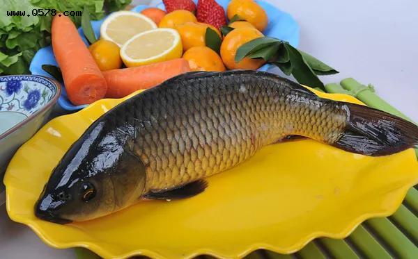 中国十种常见的食用鱼