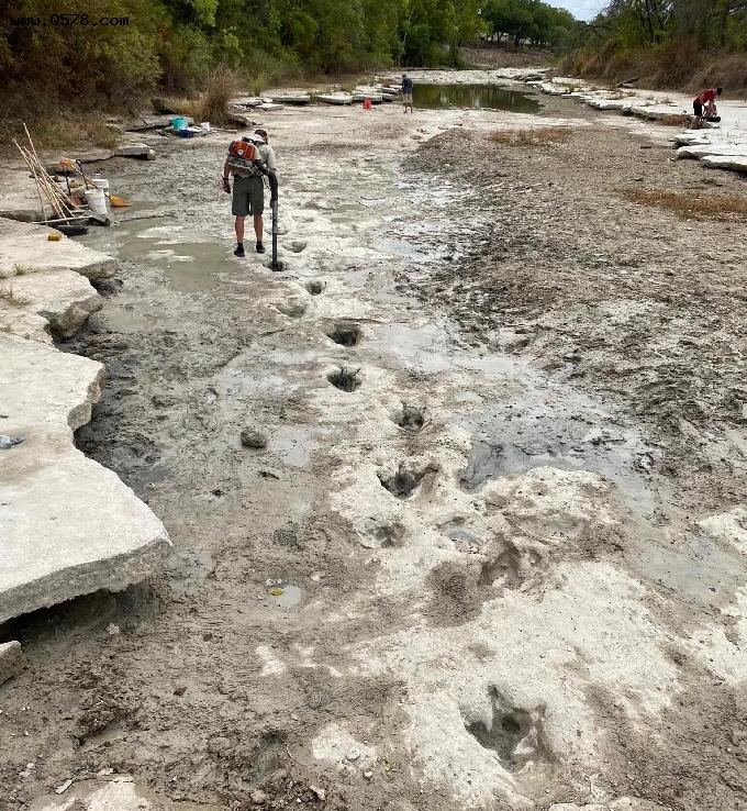 美国河流干涸，露出1.13亿年前恐龙足迹，这么多年没淤泥填盖上？