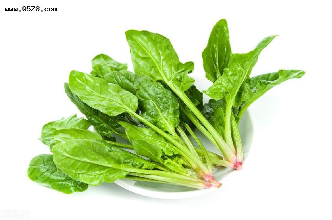 以下5种绿叶蔬菜，可以帮助减掉腹部脂肪和保持身体年轻