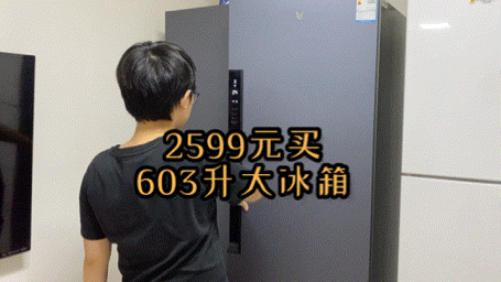 603升大冰箱不到2600元？“内卷时代”囤货好实惠