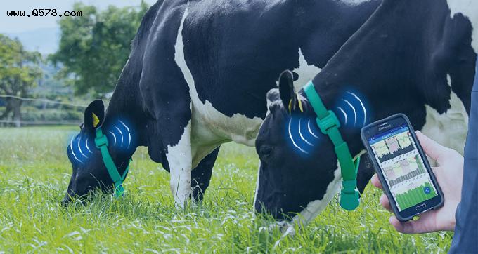 畜牧养殖业中的无线物联网技术应用