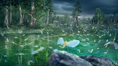 1.8亿年前蜉蝣婚飞 从水到陆寻找配偶