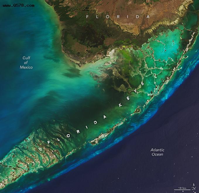 「太空观察」佛罗里达群岛不断变化的海洋