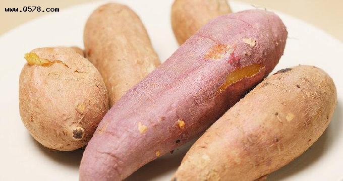 日本研究：红薯能消灭98.7%癌细胞，有科学依据吗？告诉你真相