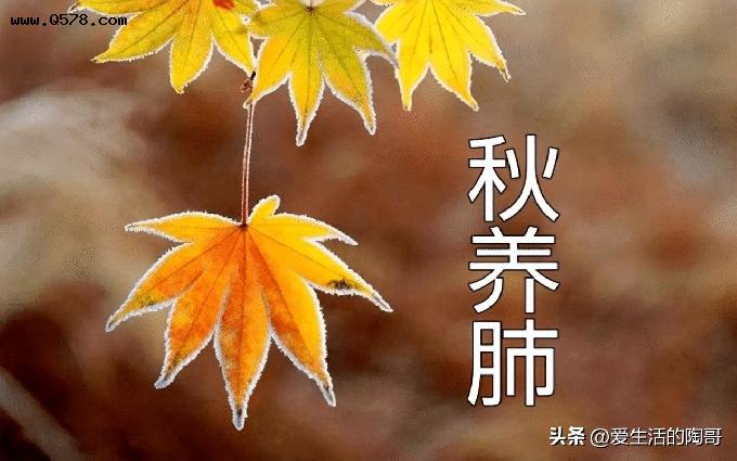 秋季是“养肺黄金期”！多吃“3黄3白”，身体好，健康过秋天