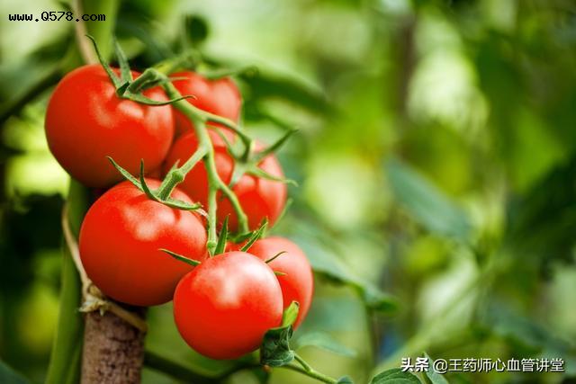 吃西红柿会使血糖升高吗？为什么？