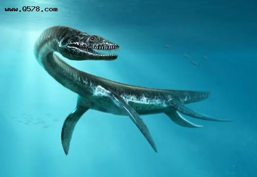 在撒哈拉发现的蛇颈龙化石表明它们不仅仅是海洋动物