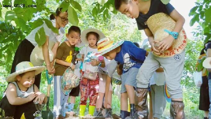北京市文化和旅游局发布“京郊之夏”十条精品农事体验旅游线路：有机健康之旅·玩泥巴也是快乐的