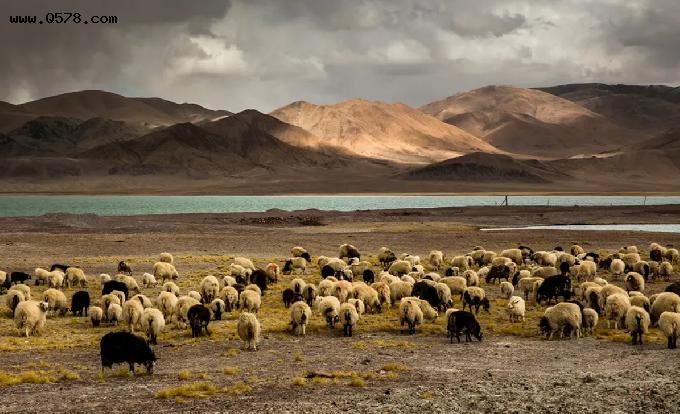 西藏最大的无人区到底有多恐怖？为何众多探险者，最后都有去无回