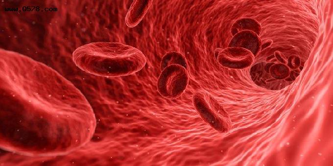 科学家首次在人体血液中发现微塑料