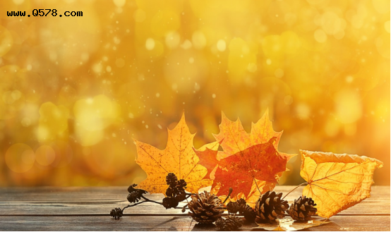 秋季也要管住嘴，少吃“寒物”，常喝4种茶，生津润燥稳度金秋