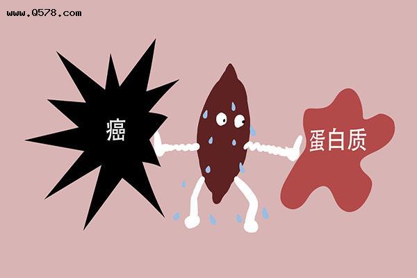 网传日本研究发现：红薯可以消灭98.7%癌细胞，真相究竟如何？