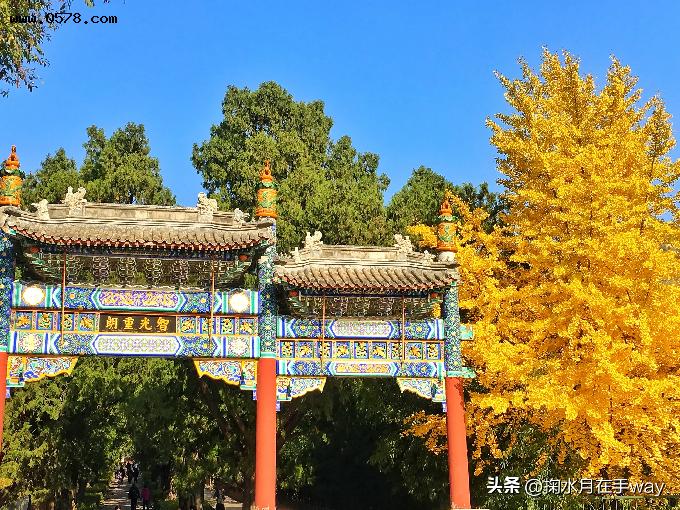 北京的秋色足以媲美世界上任何一处的风景