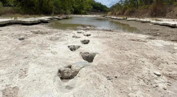 美国多日干旱，得克萨斯州河床显现恐龙足迹，距今约1.13亿年