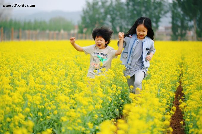 北京市文化和旅游局发布“京郊之夏”十条精品农事体验旅游线路：自然教育之旅·走进有机生态乡居