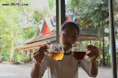 云南普洱：茶旅融合 打造茶文化深度体验旅游目的地