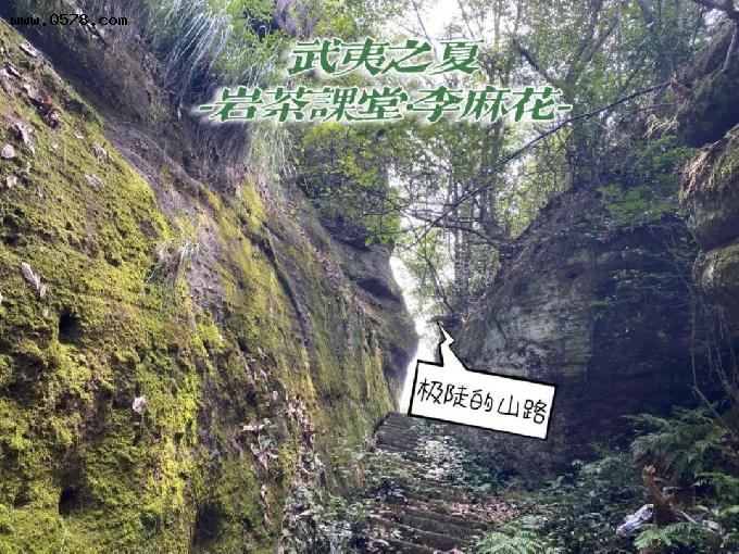 岩茶山场揭秘，九龙窠“好汉坡”与虎啸岩“好汉坡”，有何不同？
