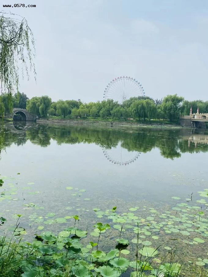 北京二环内的公园里藏着浪漫的小森林，摩天轮是一个美好的回忆