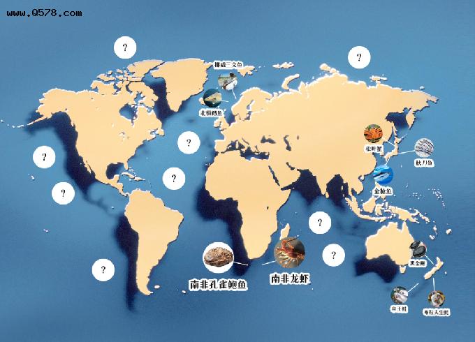 世界海鲜图略 - 第4期 南非之最