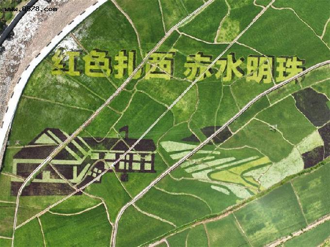 云南威信旧城镇：“农业+艺术+旅游”碰撞 促农增收助力乡村振兴