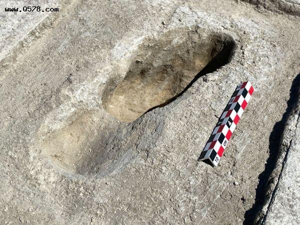 外媒：足迹化石揭示1.2万年前北美古人类生活细节