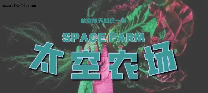 长在太空中的“菜园子”，多亏有它，宇航员们的营养摄取有着落了